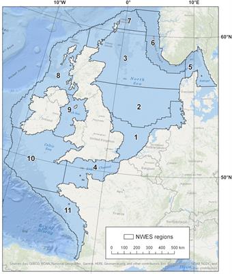 Carbon on the Northwest European Shelf: Contemporary Budget and Future Influences